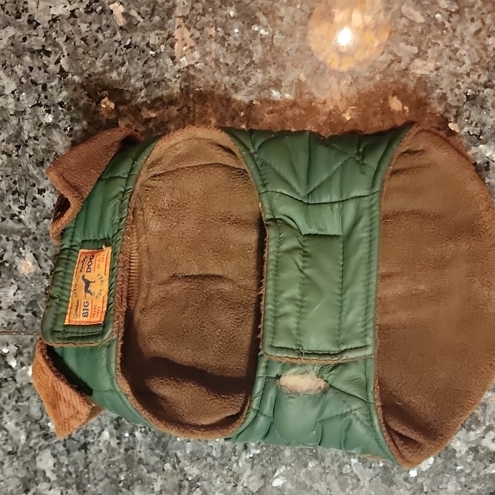 Small dog jacket. - Picture 2 of 4